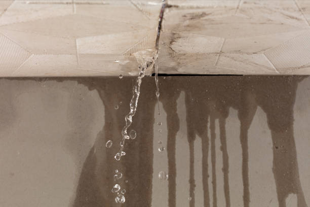 Professional Water Damage Inspection technician working in White Plains, NC